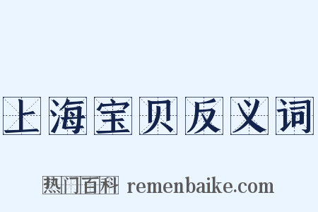 上海宝贝反义词是什么意思的图片